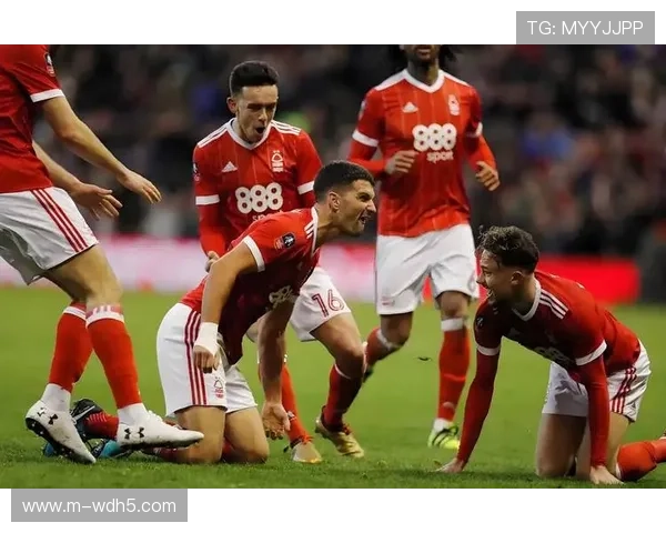 诺丁汉森林财务违规案深度调查：英超盈利与可持续发展规则的挑战